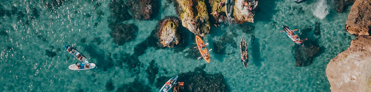 Newsletter background